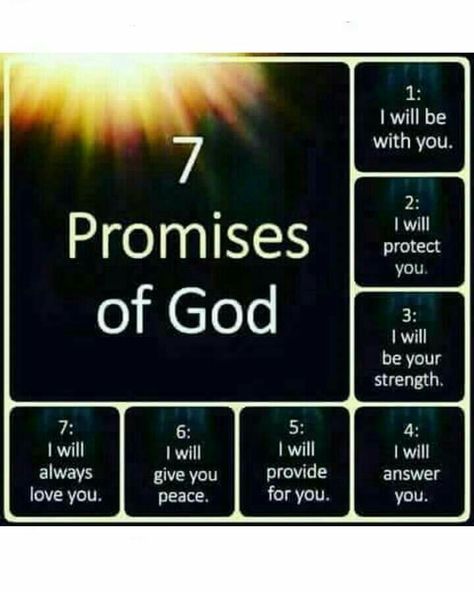 7 Promises of God... Gods Promises Quotes, Promises Of God, Bible Topics, God's Promise, God's Promises, Bible Promises, Words Of Comfort, Holy Mary, Prayer Scriptures