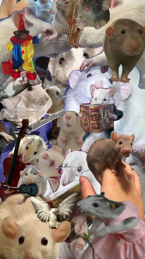 Mice Aesthetic, Ratatouille Aesthetic, Rats And Mice, Mice Mouse, Collage Moodboard, Pet Rat, Cute Rats, Mouse Rat, Vintage Collage