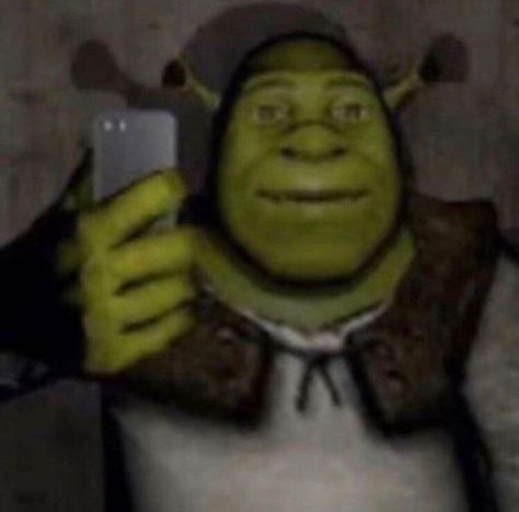 I don't know the creator of this masterpiece but i really wanted to share it here. Shrek Pics, Shrek, Thread, Mirror Selfie, The Creator, Share It, Mirror