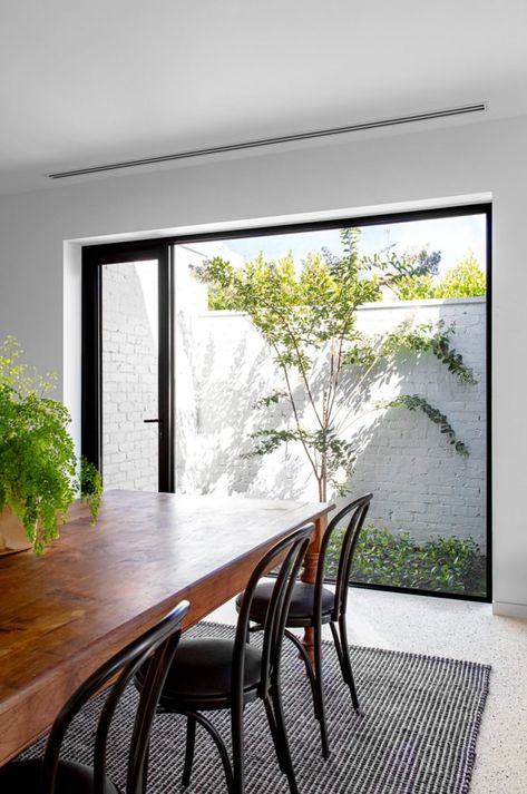 Brighton Residence by JTA | Hunting for George Plank Of Wood, Melbourne Home, Brighton Houses, Picture Window, Melbourne House, The Local Project, Patio Interior, Picture Windows, Home Building Design