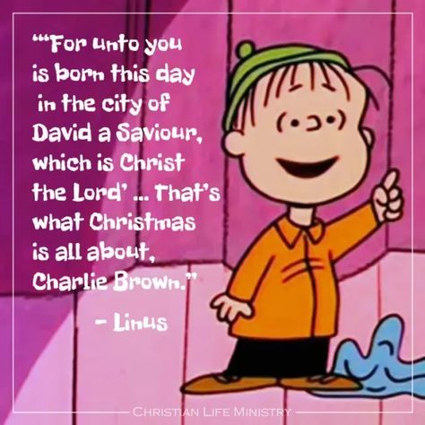 City Of David, Charlie Brown Quotes, A Charlie Brown Christmas, Bloc Party, Brown Christmas, Snoopy Quotes, Peanuts Christmas, Meaning Of Christmas, True Meaning Of Christmas