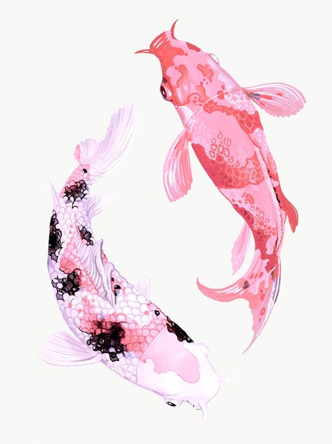 Pink Koi Fish, Veiltail Goldfish, Koi Fish Wallpaper, Koi Fish Illustration, Koi Fish Swimming, Coy Fish, Japanese Koi Fish, Koi Art, Japanese Fish