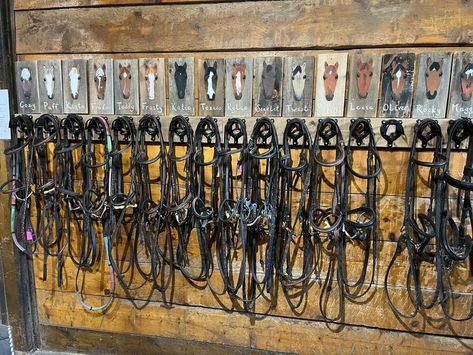 Barn, Tackroom & Trailer Design, DIY & Hacks | No more bridle mix ups at our riding school | Facebook How To Put A Bridle On A Horse, Bridle Racks, Horse Trailer Tack Room Ideas Bumper Pull, Bridle Hangers Tack Rooms, Tack Room Ideas, Wooden Bridle Rack, Paddock Trail, Trailer Design, Horse Tack Rooms