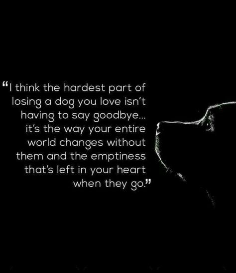 Losing A Dog Quotes, Losing A Pet Quotes, Pet Quotes Dog, Miss My Dog, Pet Quotes, Dog Poems, Art Final, Dog Quotes Love, Heaven Quotes