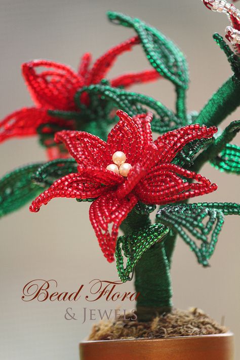 Mini Poinsettia plant - beginner to intermediate | Bead Flora Studio - Learn French beaded flowers Beaded Poinsettia Pattern, Plant Beginner, Beaded Poinsettia, French Beading, Poinsettia Plant, Bead Flowers, French Beaded Flowers, 21 Grams, Floral Tape