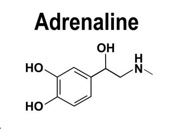 Adrenaline Chemical Structure, Adrenaline Drawing, Chemical Structure Tattoo, Adrenaline Tattoo, Medicine Tattoo, Techno Tattoo, Adrenaline Molecule, Trash Polka Art, Chemistry Tattoo