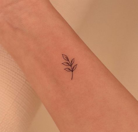 Basil Leaf Tattoo, Bay Leaf Tattoo, Laurel Plant, Leaf Tattoo, Bay Laurel, Basil Leaf, Plant Tattoo, Bay Leaf, Bay Leaves