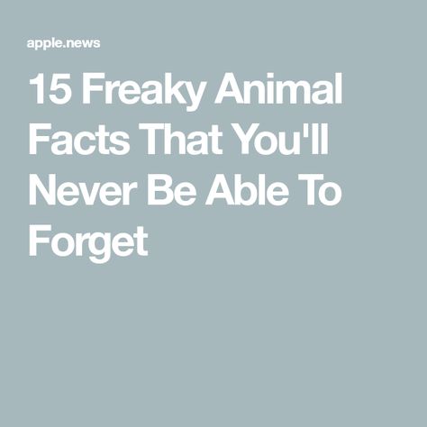 15 Freaky Animal Facts That You'll Never Be Able To Forget Random Facts About Animals, Random Animal Facts, Animal Fun Facts, Fun Animal Facts, Weird Animal Facts, Facts About Animals, Fun Facts About Animals, About Animals, Animal Facts