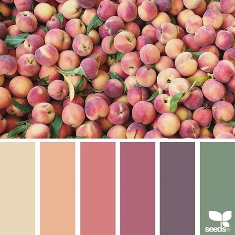 Seeds Color, Color Concept, Electromagnetic Spectrum, Palette Design, Color Schemes Colour Palettes, Color Picker, Color Palate, Design Seeds, Color Palette Design