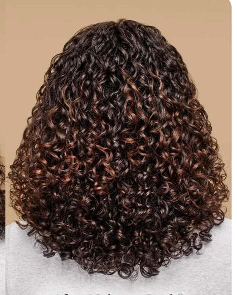 Reddish Brown Highlights Curly Hair, Coffee Brown Highlights On Black Hair, Chocolate Curly Hair Highlights, Highlight Brown Curly Hair, Low Lights For Black Hair Natural, Mocha Brown Curly Hair, Caramel Highlights On Black Curly Hair, 3c Highlights, Dark Brown Highlights Curly Hair