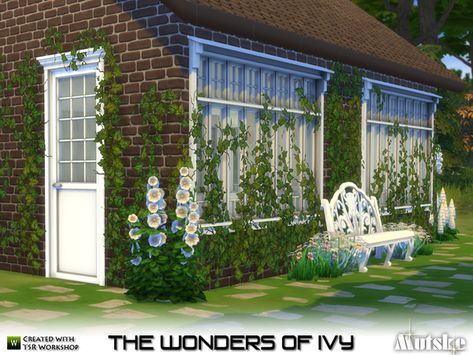 mutske's The Wonders of Ivy Wall Climbing Plants, Sims 4 Cottage, Cc Sims4, Pelo Sims, Sims 4 House Design, Vine Wall, Sims 4 Cc Furniture, Sims4 Cc, Best Build