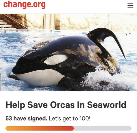 Orcas in SeaWorld need your help. Sign this petition today! Orcas In Captivity, Tilikum Orca, Apex Predator, Orca Whales, Dental Problems, Killer Whales, Ocean Animals, Sea World, Animal Rights