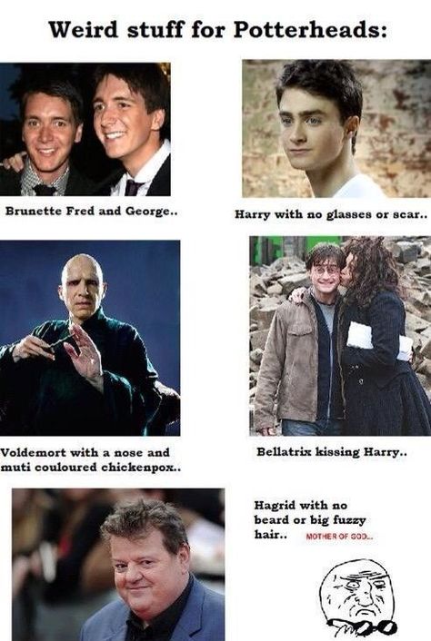 Collection of Harry Potter memes Harry Potter Humor, Citate Harry Potter, Glume Harry Potter, Funny Harry Potter Jokes, Harry Potter Memes Hilarious, Harry Potter Puns, Images Harry Potter, Potter Facts, Harry Potter Fanfiction