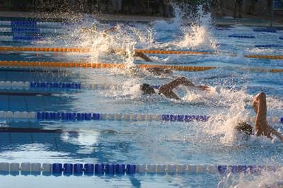 What Muscles Does Swimming Exercise? This is a great article and it is a good reminder (or wake up call) that weightlifting is an important component. Swimming Exercise, Swimming Motivation, Sports Advertising, Scissor Kicks, Best Swimmer, Swimming Tips, Swim Training, Keep Swimming, Golds Gym