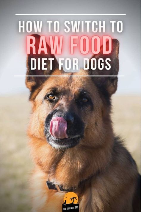 The B.A.R.F. diet consists of feeding the dogs raw and biologically suitable foods for them. B.A.R.F. is the acronym for Biologically Appropriate Raw Food. This proposes a diet based on animal protein, to which a small percentage of fruits and vegetables is added. #raw #rawfed #rawfeddogs #rawfeeding #diydogfood #cleaneating #caninenutrition #feedfresh #feedreal #whatsinyourbowl #wefeedraw Raw Meat Dog Diet, Raw Food Diet For Dogs, Dog Diet Plan, Diet For Dogs, Pet Nutrition, Grain Free Dog Food, Dog Breath, Dog Health Tips, Food Homemade