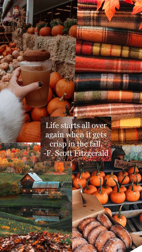 Autumn 🍂🍁 #autumn #autumnaesthetic #fall #fyp#follow4follow #follow #pinterest Fall Video, Subscribe To My Youtube Channel, Video Ideas, Cozy Autumn, Fall Feels, Best Seasons, Chilly Weather, Autumn Cozy, Autumn Aesthetic