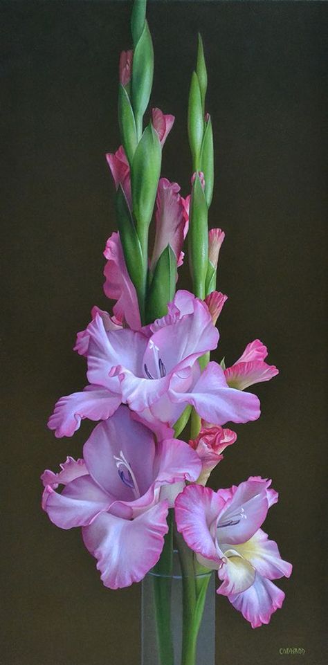 Gladiolus Flower, American Fine Art, Wine Painting, Gladioli, Aluminum Panel, American Painting, Alexandria Va, Butterfly Painting, Birth Month Flowers