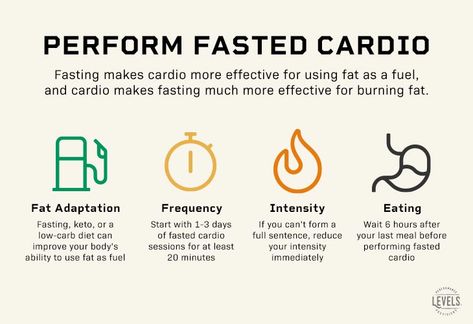 Cardio Plan, Fasted Cardio, Benefits Of Working Out, Benefits Of Cardio, Intermittent Fasting Diet, Flat Stomach Workout, Women Health Care, Best Cardio, Fat Burning Workout