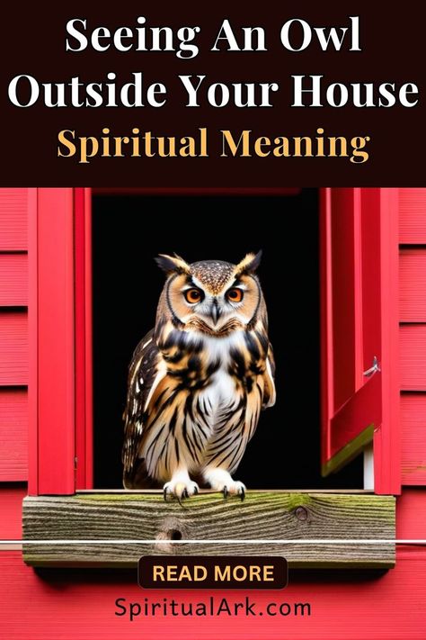 at the top of this post is the title that says, "seeing an owl outside your house, spiritual meaning", at the center of this post is a photo of an owl standing by an open door of a red wooden house, below it is a thin white line which separates the main photo and the footer of this post, below the line is a button which contains the words "read more", and at the very bottom of this post is the website source which is "SpiritualArk.com" American Indian Spirituality, Owl Sighting Meaning, Spiritual Meaning Of Hearing Owls, Owl Omen Meaning, Owl Spirit Animal Meaning, Crow Meaning, Owl Sounds, Witch Watch, Indian Spirituality