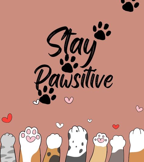 Keep pawsitive Stay Pawsitive, Pawsitive Vibes, Vet Tech, Painted Rocks, Cute Pictures, Cute Animals, Coffee, Animals, Quick Saves