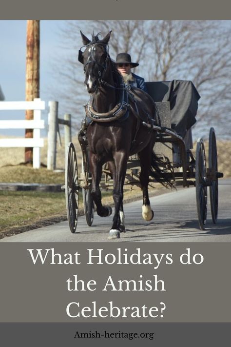 Amish Holidays Amish Traditions, Amish Village, Rumspringa, Amish Clothing, Home Apothecary, Amish Men, Amish Books, Fashion Education, Ascension Day