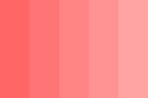 peach day color palette created by yiminshum that consists #ff6666,#ff7575,#ff8484,#ff9393,#ffa3a3 colors. Peach Colour Combinations, Best Bathroom Paint Colors, Peach Color Palettes, Dark Color Palette, Pastel Red, Red Colour Palette, Bathroom Paint Colors, Sky Color, Bathroom Colors