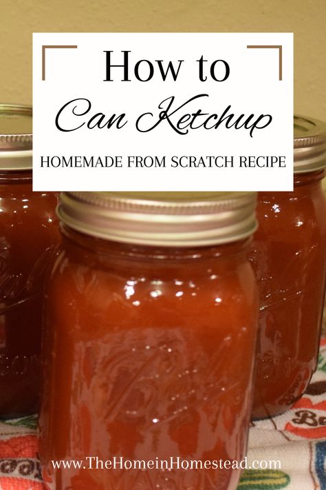 How To Make Catsup Homemade Ketchup, Homemade Organic Ketchup, Homemade Catsup For Canning, How To Can Ketchup, Home Canned Ketchup, Homemade Ketchup Canning Recipe, Homemade Canned Ketchup, Canning Homemade Ketchup, Canned Ketchup Recipe