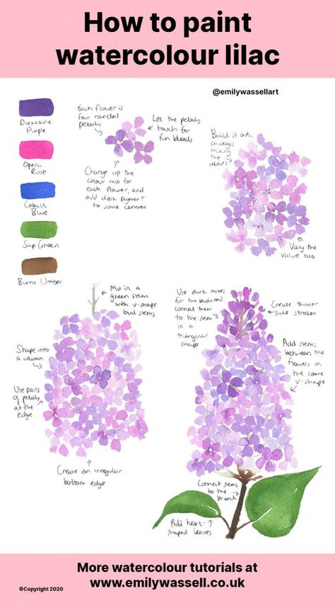 Flower Watercolour Tutorial, How To Draw Lilacs Step By Step, How To Paint Lilacs, Watercolor Lilacs Tutorial, How To Watercolour Paint, How To Paint Watercolour Flowers, Lilac Watercolor Paintings, Learning To Paint Beginners, Watercolour Beginner Ideas