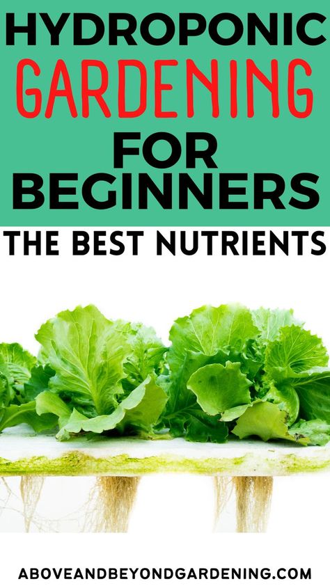 Hydroponic gardening for beginners at home. Hydroponic gardening for beginners ideas to get the best nutrients. Hydroponic Gardening For Beginners, Hydroponic Nutrients, Indoor Hydroponic Gardening, Hydroponic Gardening System, Hydroponics Diy, Aquaponic Gardening, Hydroponic Plants, Greenhouse Gardening, Hydroponic Gardening