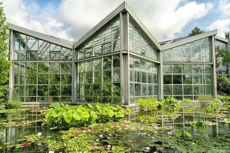 The angular glass façade of the Tropicarium at Frankfurt’s Botanical Garden reflects waterlilies in the nearby pond. Modern Greenhouses, Victorian Greenhouse, Victorian Greenhouses, Large Greenhouse, Glass Houses, Water Lily Pond, Glass Building, Rainwater Harvesting, Garden Greenhouse