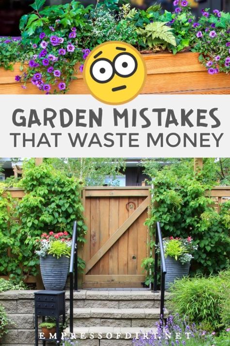 10 Garden Mistakes that Waste Money | Empress of Dirt Spend Wisely, Gardening For Dummies, For Dummies, Creative Gardening, Garden Tips, Urban Farming, Autumn Garden, Gardening For Beginners, Eclectic Home