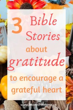 3 Bible Stories about Gratitude to Encourage a Grateful Heart Thanksgiving Bible Lesson, Thanksgiving Devotions, Devotions For Kids, Youth Lessons, Kids Church Lessons, Christian Thanksgiving, Worship Ideas, Hope Bible Verses, Thanksgiving Lessons