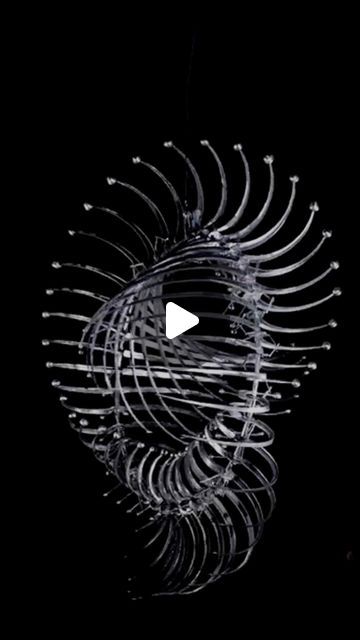 Kinetic Wind Art, Anthony Howe, Interactive Sculpture, Kinetic Art Sculpture, Patterns Of Nature, Wind Art, Fluid Dynamics, Wind Sculptures, Kinetic Art