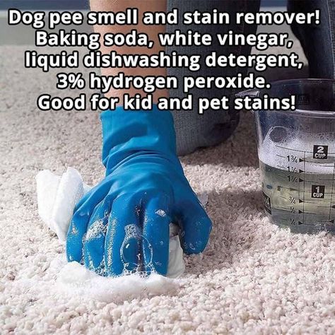 Dog Pee Smell, Pee Smell, Homemaking Tips, Easy Cleaning Hacks, Diy Cleaning Solution, Homemade Cleaning Solutions, Diy Cleaning Hacks, Dog Pee, Diy Home Cleaning