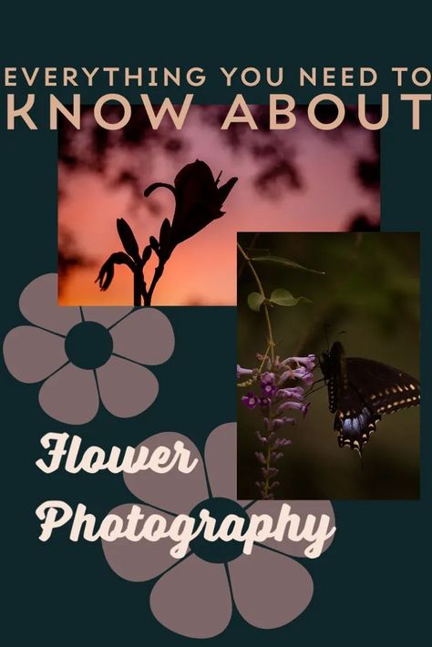 Flower Photography Tutorial, Flower Pictures Photography Photo Ideas, Creative Floral Photography, Flower Photography Tips, Tips For Outdoor Photography, Camera For Beginners Photography, Best Camera For Nature Photography, Floral Photography Nature, Flower Camera