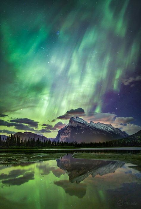 aurora, northern lights at the Banff National Park in Alberta, Canada.... Northern Lights Canada, Rocky Mountains Canada, John Price, Canada Banff, Aurora Borealis Northern Lights, The Aurora, Banff National Park, Beautiful Sky, Canada Travel