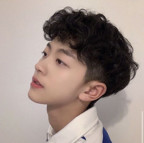 Curly Asian Hair, Perm Hair Men, Boys Haircuts Curly Hair, Boys Curly Haircuts, Undercut Curly Hair, Messy Curly Hair, Male Haircuts Curly, Anatomy Studies, Ulzzang Korea