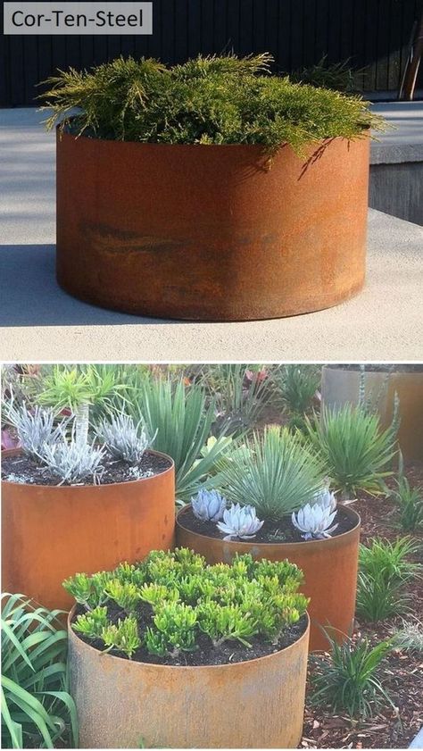 Corten steel round planters, 100's of sizes Round Corten Steel Planters, Corten Garden, Front Yard Driveway, Palm Springs Garden, New House Landscaping, Round Planters, Hills Landscape, Plant Rings, Courtyard Landscaping