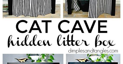 Hiding Cat Litter Box, Diy Litter Box, Katt Diy, Hidden Litter Boxes, Diy Chat, Kat Diy, Litter Box Covers, Litter Box Furniture, Cat Ideas