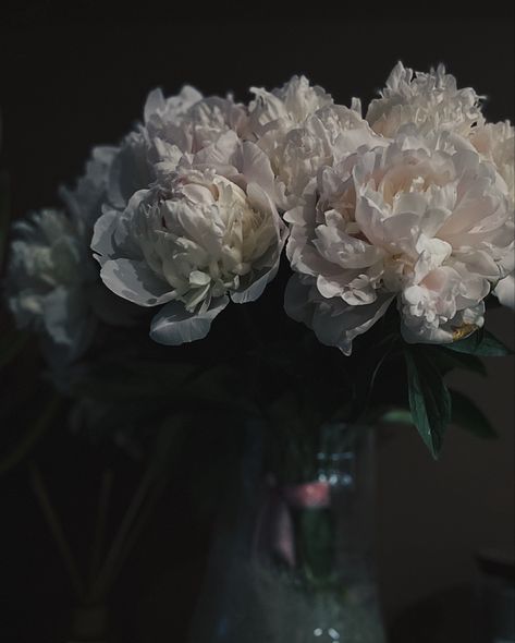 #flowers #aesthetic #summer #peonies #peony Peony Flower Aesthetic, White Peony, Flowers Aesthetic, White Peonies, Aesthetic Summer, Peony Flower, How Beautiful, White Flowers, Peonies