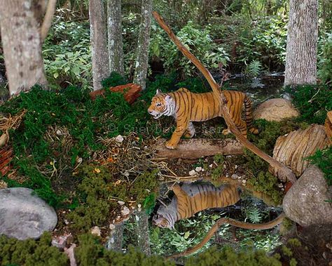 making animals for diorama | Tiger Diorama | pixelputzer Endangered Animals Project, Preschool Jungle, Rainforest Project, Biomes Project, Tiger Habitat, Project Tiger, Diorama Kids, Diarama Ideas, Habitats Projects