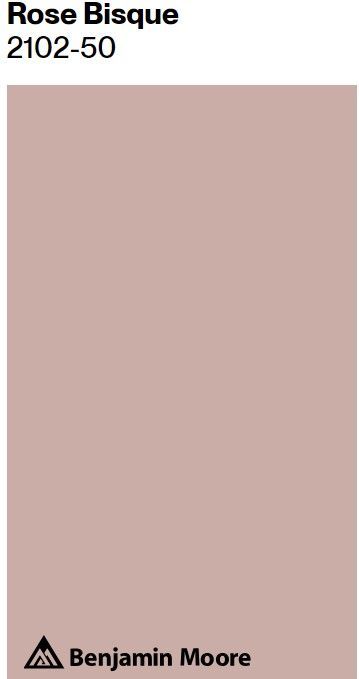 Benjamin Moore Rose Bisque paint color swatch. #rosebisque #rosepaintcolors #rosypinkpaint Rose Paint Color, Rose Bisque, Mudroom Paint, Mudroom Paint Color, Benjamin Moore Bathroom, Cottage Nursery, Paint Color Inspiration, Paint Colors Benjamin Moore, Baby Pink Colour