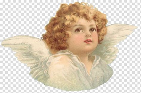 Seashell Artwork, Angel Wings Drawing, Photo Sculpture, Victorian Angels, Angel Drawing, Angel Images, Vintage Christmas Images, Vintage Angel, Antique Images