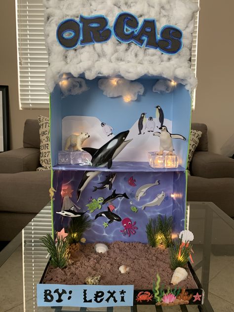 Shoe Box Ocean Ecosystem, Marine Diorama Project, Under The Sea Habitat Project, Ocean Habitat Project For Kids Shoebox, Orca Diorama School Projects, Ocean Model Project, Dolphin Diorama Projects For Kids, Ocean Diaroma School Projects, Shark Diorama School Projects