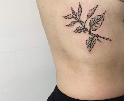 nettle tattoo Nettle Tattoo Art, Plant Tattoo Aesthetic, Mint Leaves Tattoo, Nettle Tattoo, Mint Tattoo, Rabbit Tattoo, Tattoo Themes, Tattoo Background, Wildflower Tattoo