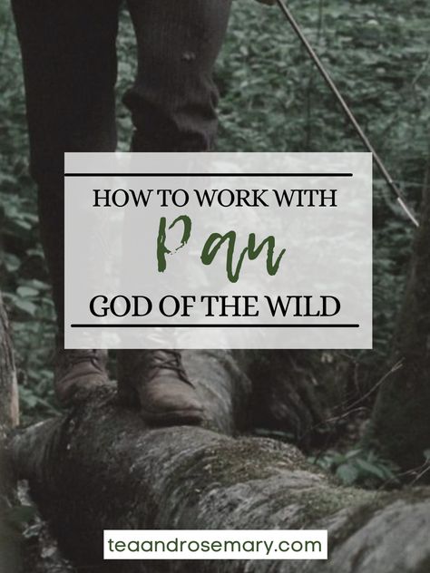 Learn about the Greek god Pan, the horned god of the wild and the god of nature, and how to work with him; deity work in witchcraft Pan God Mythology, Pan The God, Pan Deity, Gray Witchcraft, Pan Greek Mythology, Pan Greek God, The God Pan, Pan Mythology, Pan God