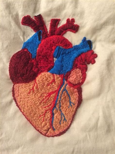 human anatomy embroidery - Ecosia - Images Human Heart Embroidery, Anatomical Embroidery, Anatomy Embroidery, Human Heart Drawing, Human Heart Anatomy, Heart Diagram, Embroidery Heart, Heart Anatomy, Textiles Projects