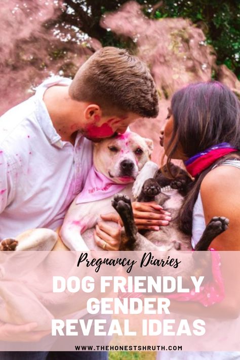 Gender Reveal Involving Dogs, Gender Reveal With Dogs Ideas, Dog Involved Gender Reveal, Gender Reveal Including Dog, Simple Gender Reveal Ideas With Dogs, Gender Reveal Ideas Using Dogs, Unique Gender Reveal Ideas With Dogs, Gender Reveal Using Dogs, Gender Reveals With Dogs