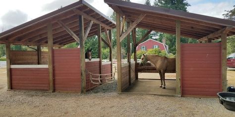 Horse Lean To Shelters, Lean To Shelter, Farm Management, Horse Farm Ideas, Barn Stalls, Paddock Paradise, Horse Arena, Horse Shelter, Two Horses