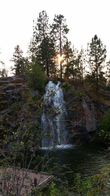 Mirabeau Springs, Spokane Valley, WA ...Loved this place! Spokane Wa, Spokane Washington, Springs, Washington, Plants